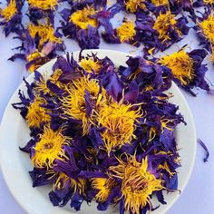 Dried blue lotus flowers on a white plate