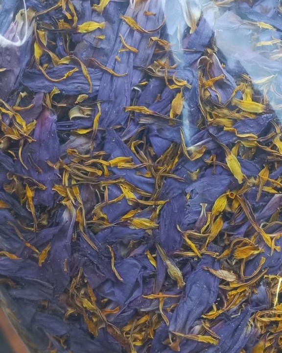 Bulk bag of dried blue lotus flower with golden yellow stamens