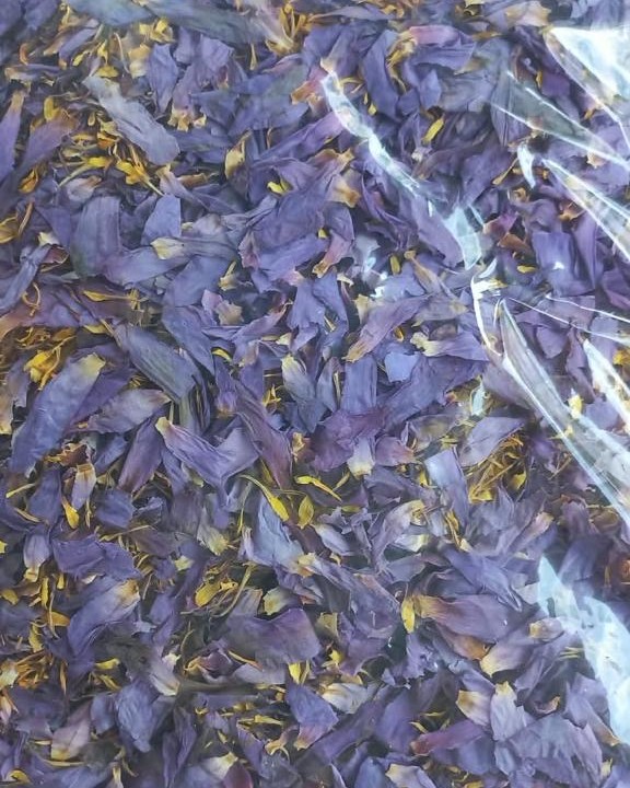 Bulk bag of dried blue lotus flower